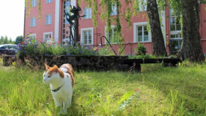 Vanha Koulu Suolahti